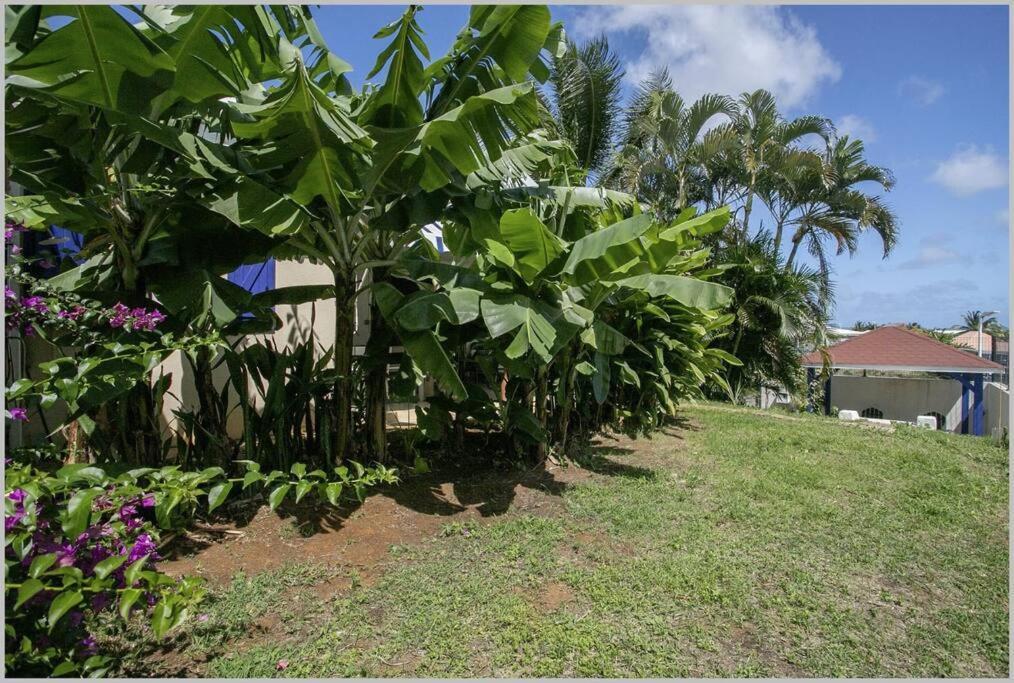 Villa Mango 150 Metres Plage A Pied Sainte-Luce Esterno foto