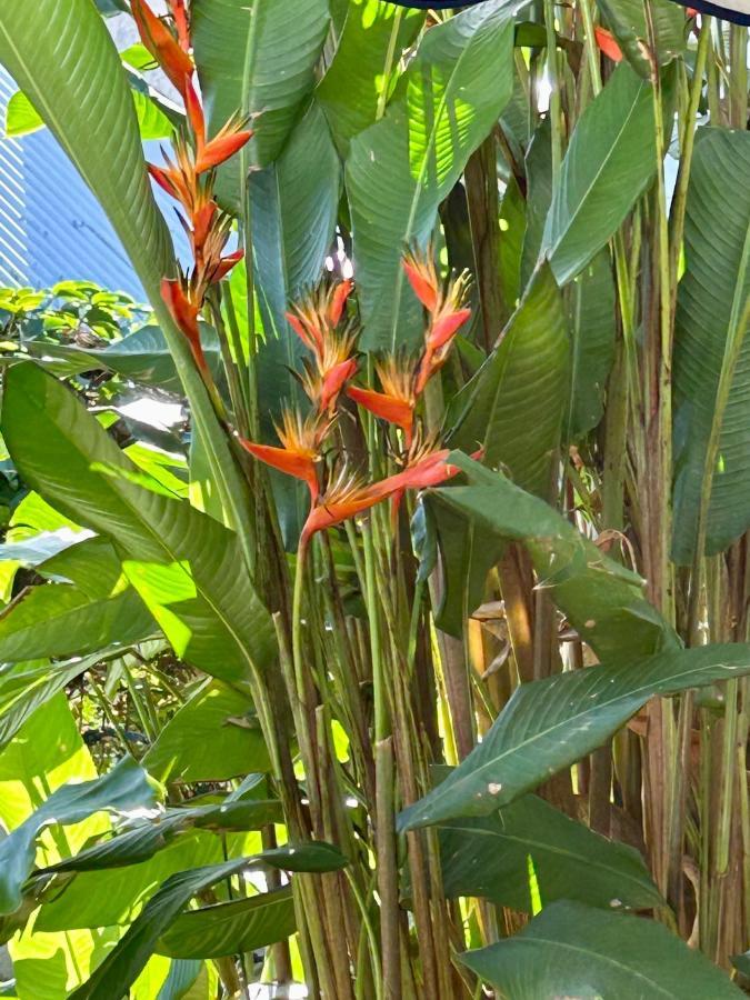 Villa Mango 150 Metres Plage A Pied Sainte-Luce Esterno foto