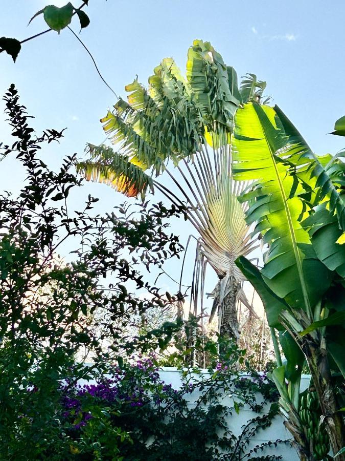 Villa Mango 150 Metres Plage A Pied Sainte-Luce Esterno foto